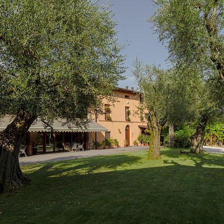 Agriturismo Ripa Del Bosco Capriolo Exterior photo