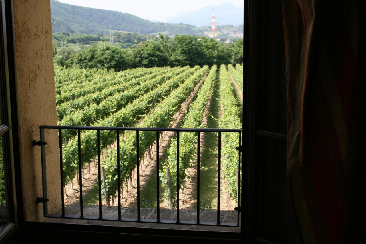 Agriturismo Ripa Del Bosco Capriolo Exterior photo